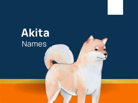 1020+ Akita Names for Your Spirited Companion! (+Generator)