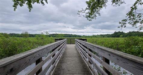 Great Meadows National Wildlife Refuge | U.S. Fish & Wildlife Service