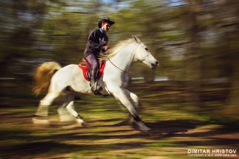 Man riding a beautiful white horse in autumn forest - 54ka [photo blog]