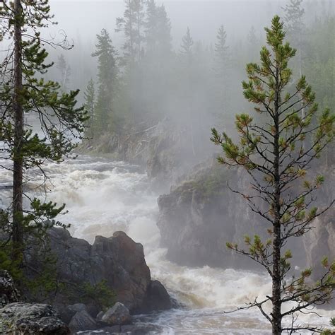 River Through Tree-Lined Landscape Free Stock Photo - Public Domain Pictures