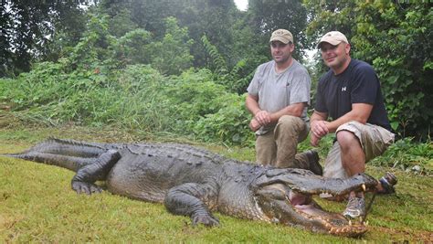 Mississippi Wildlife Dept. accepting alligator hunting applications