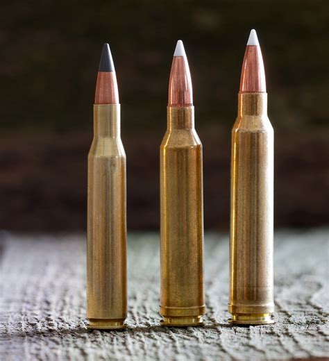 270 Winchester, 7mm Rem. Mag., & 300 Win. Mag. Performance Differences (Are they enough to ...