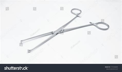 Allis Tissue Forceps Surgical Instrument Stock Photo 1731063859 ...