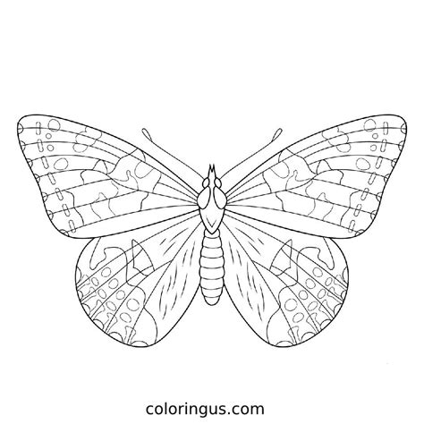 Butterfly Coloring Pages (Free Printable PDF)