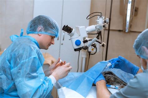 A Professional Ophthalmologist Performs Eye Surgery with a Microscope. the Anesthesiologist ...