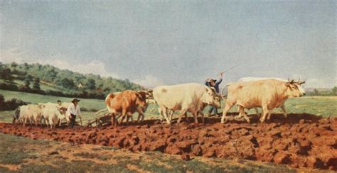 Ploughing in the Nivernais Rosa Bonheur 1913 Poster Print by Rosa Bonheur (18 x 24) - Walmart ...