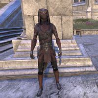 Online:Shrouded Armor - The Unofficial Elder Scrolls Pages (UESP)