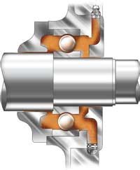 Lubrication Strategies for Electric Motor Bearings