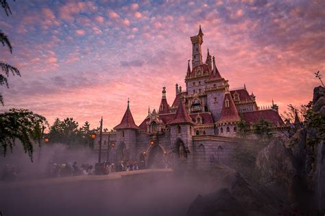 Should You Wait to Visit Tokyo Disneyland? - showbizztoday