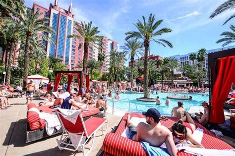 Best Las Vegas Pools For Every Type of Traveler | Las vegas pool, Vegas pools, Las vegas hotels