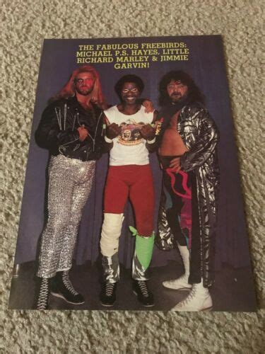 FABULOUS FREEBIRDS MICHAEL HAYES JIMMIE GARVIN Wrestling Pinup Photo NWA AWA UWF | eBay