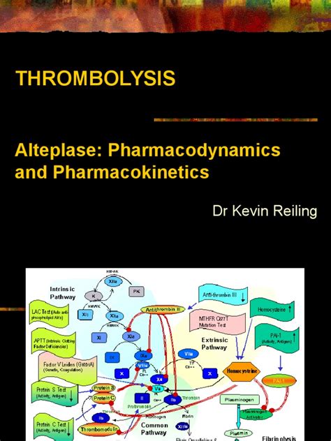 Alteplase Pharmacokinetics and Thrombolysis Risks | PDF | Coagulation ...