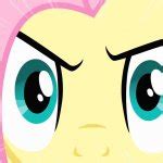 Fluttershy's Stare (MLP) Meme Generator - Imgflip