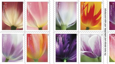 U.S. Postal Service to raise price of stamps again - nj.com