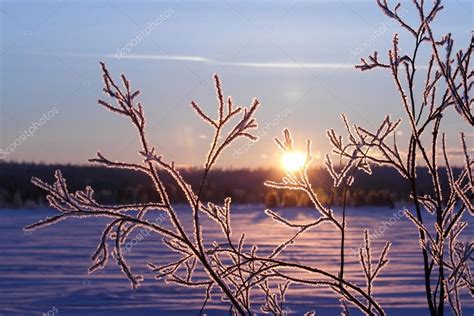 Winter in Siberia Stock Photo by ©Grigoriy Pisotckii 19728845