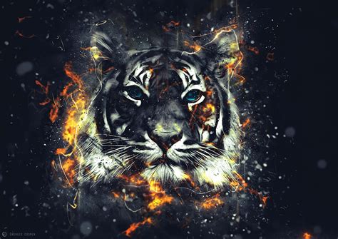 Paling Keren 14+ Gambar Wallpaper Harimau - Joen Wallpaper