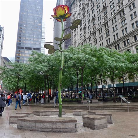 Zuccotti Park Celebrates 7th Anniversary of Occupy Wall Street with a ...