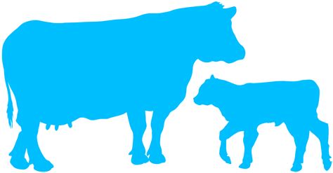 Cow Head Silhouette | Free vector silhouettes