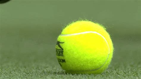 Tennis Ball GIFs - Find & Share on GIPHY