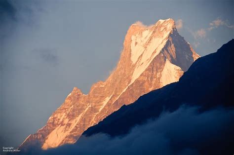 Machapuchare, Sunrise view from Sinuwa | Annapurna Sanctuary… | Flickr