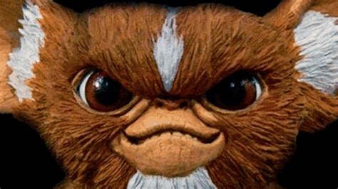 Gremlins 1984 Mogwai Gizmo transformation Face morph 80's movie - YouTube