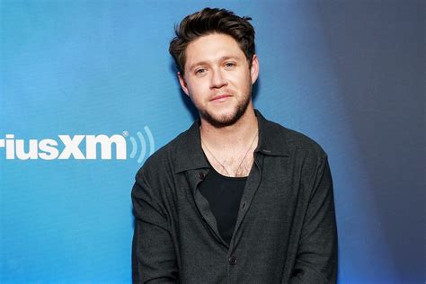 Which One Direction Songs Did Niall Horan Write? | NBC Insider