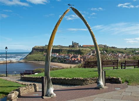 Whitby’s Whaling History | A Visit Whitby Whaling Guide