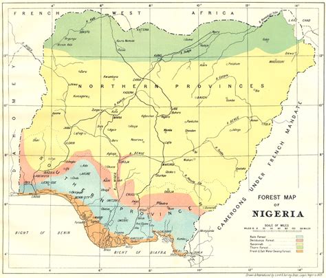 NIGERIA. Forest Map of Nigeria 1936 old vintage plan chart