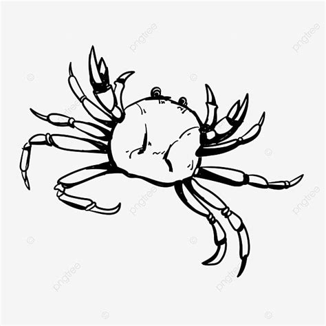 Crab Drawing Vector Design Images, Ink Line Drawing Crab Painting Vector, Luggage, Ink Painting ...