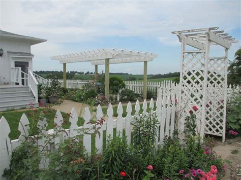 Garden Fancy: Our new pergola!