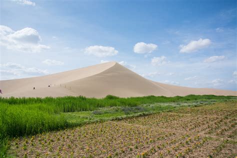 This 2000-year-old natural wonder is a true desert oasis