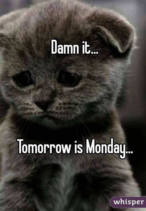 Tomorrow is Monday | Tomorrow is monday, Funny monday pictures, Funny cartoon quotes