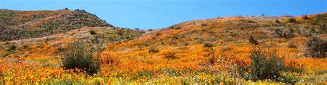 Outdoor Activities and Programs - Irvine Ranch Natural Landmarks