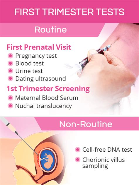 Prenatal Testing | SheCares