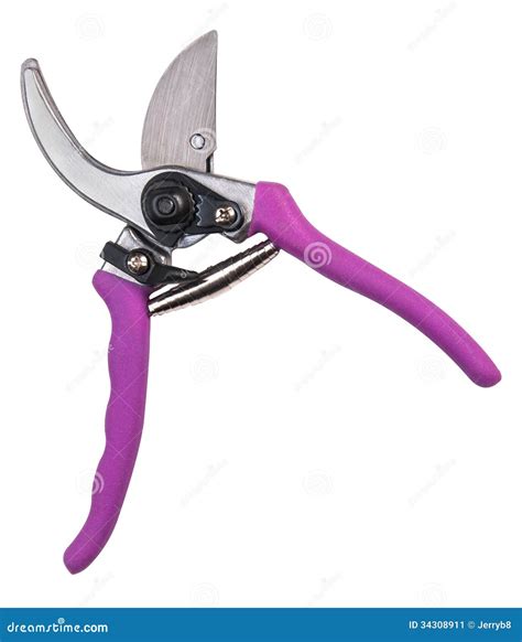 Tree Pruning Tools Stock Image - Image: 34308911