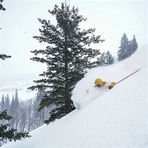 Snorkel weather has returned to #snowbasinresort! @extreme_rihm getting pitted in the trees ...