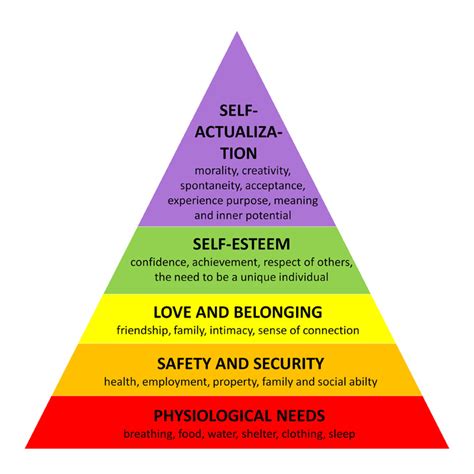 Learn About Abraham Maslow's Hierarchy of Needs