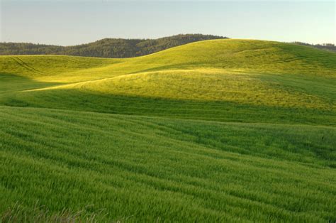 Green, Grassy hills landscape image - Free stock photo - Public Domain photo - CC0 Images