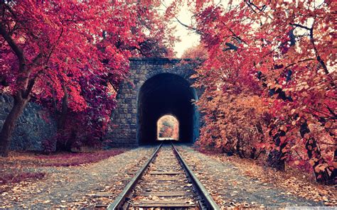 fall, Tunnel, Railway, Trees, Armenia Wallpapers HD / Desktop and Mobile Backgrounds