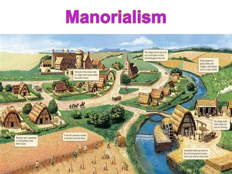 Feudalism and manorialism lesson 7.33