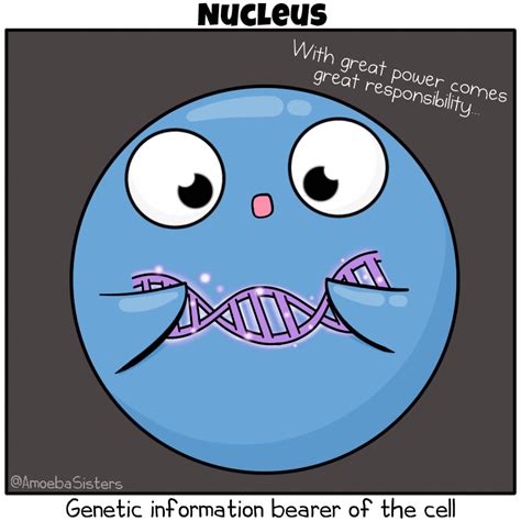 Biology Jokes, Biology Facts, Study Biology, Teaching Biology, Learning ...