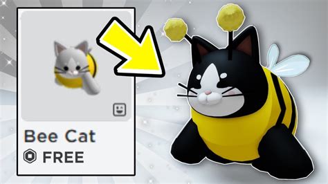 ROBLOX NEW FREE CAT BEE BUNDLE.. - YouTube