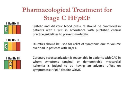 CHF guidelines 2013seminar