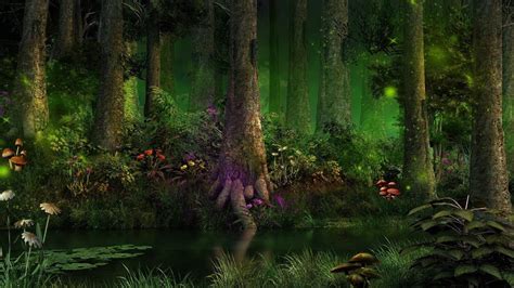 Mystical Forest Music - Enchanting Magical Creatures - YouTube