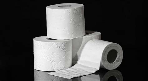 Most expensive toilet paper roll: Would you spend S$1 million to clean ...