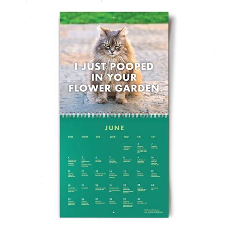 Funny Cat Calendar 2023 - Printable Word Searches