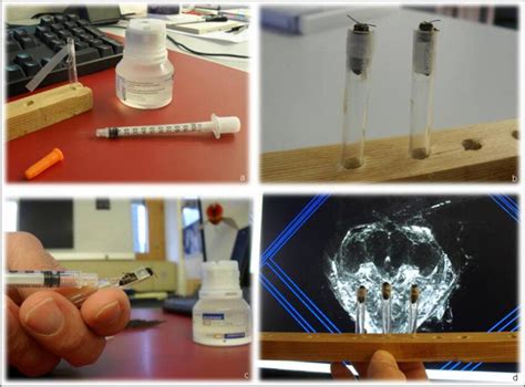 Bolus injections of radiographic contrast media were delivered via a ...