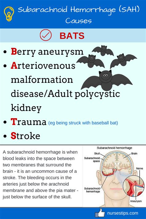 Pathophysiology Of Subarachnoid Hemorrhage