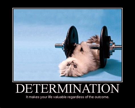 Determination by sthlrd67 on DeviantArt