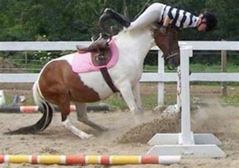 Funny Horse Riding Fails 12 High Resolution Wallpaper - Funnypicture.org